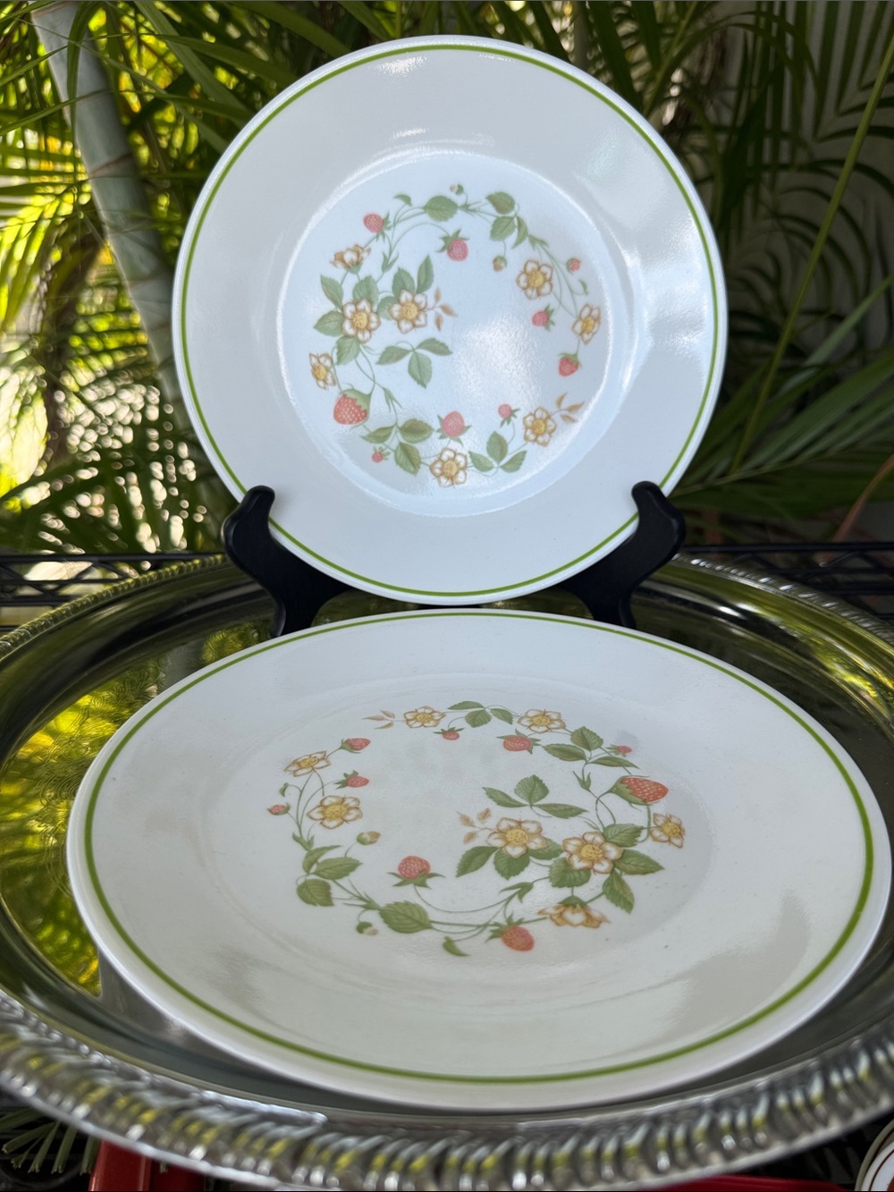 Corelle Strawberry Salad Plate Set of 2 8.5”
